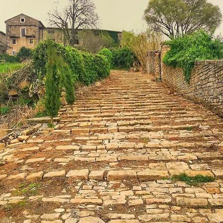 Апартаменты Belvedere