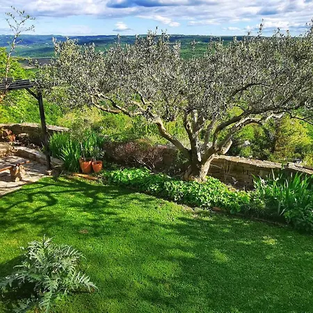 Belvedere * Грожнян